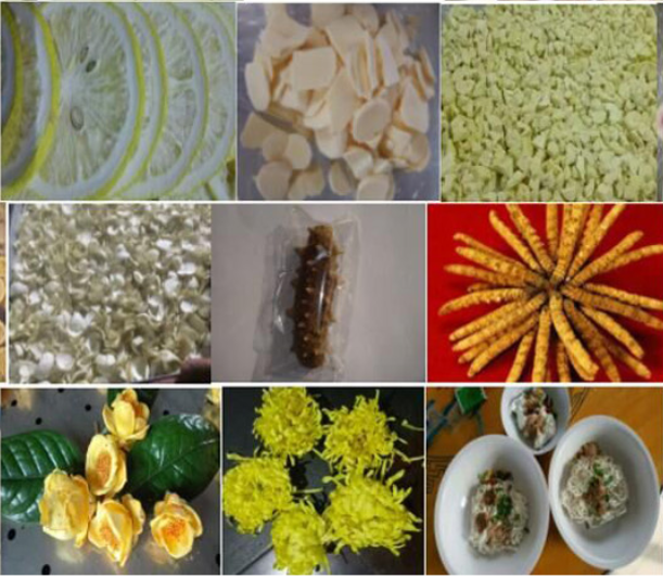 凍干機廠家告訴您食品凍干機的制造工藝和應用